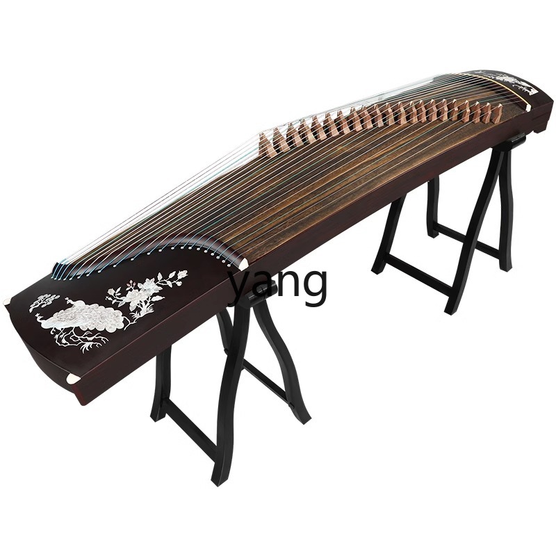 Musical Instrument Guzheng - LT beginner test entry level 10