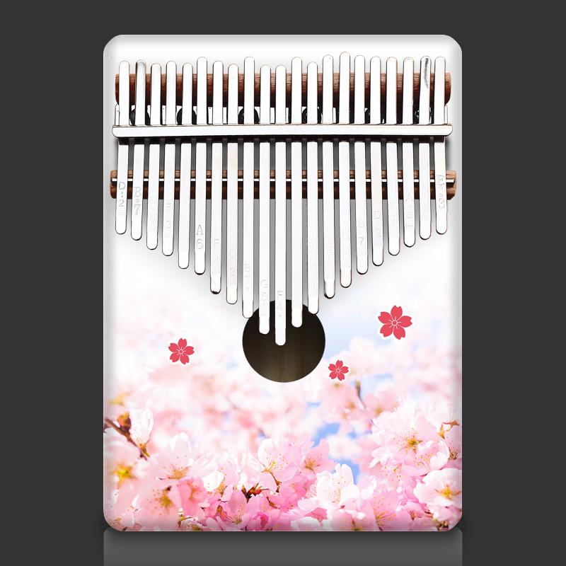 Colorful 21 Key Kalimba Kids C - A Musical Instrument With Keys recension och pris