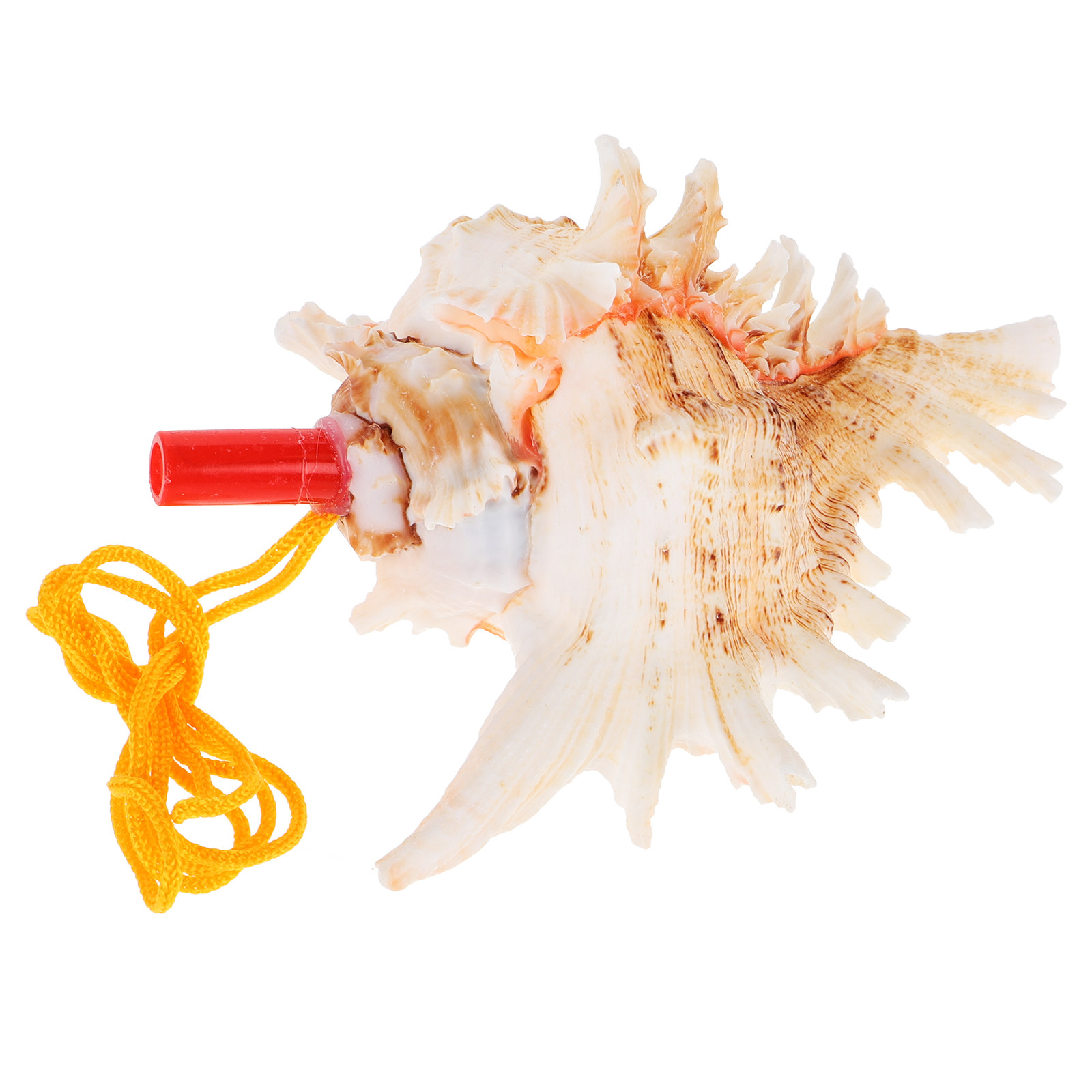 Natural Conch Shell Horn Loud  - Musical Instrument Horn recension och pris