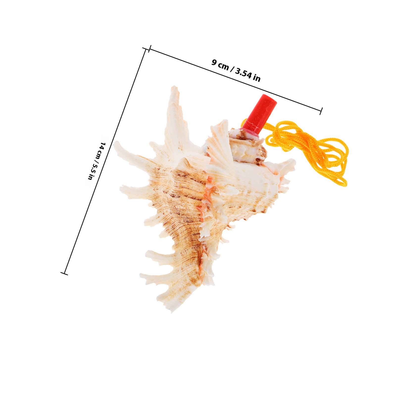 Natural Conch Shell Horn Loud  - Musical Instrument Horn recension och pris