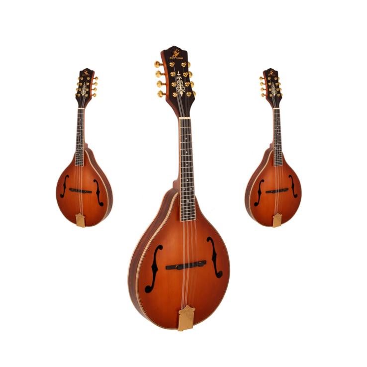 Hot Sale Classical 8 Strings M - Musical Instrument Mandolin recension och pris