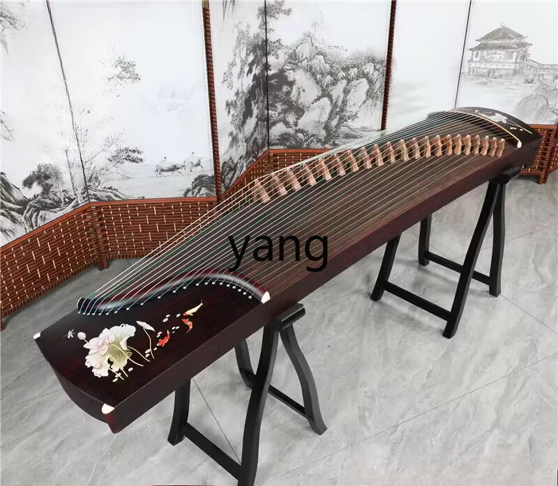 LT beginner test entry level 1 - Musical Instrument Guzheng recension och pris