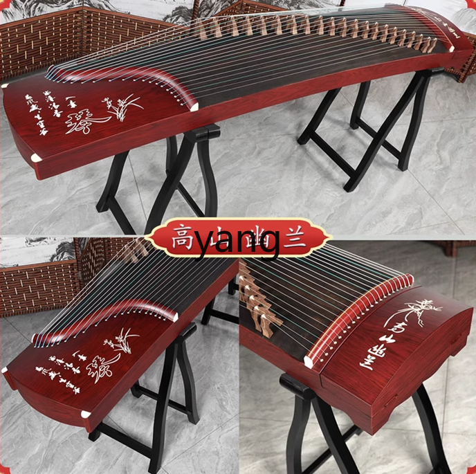 LT beginner test entry level 1 - Musical Instrument Guzheng recension och pris