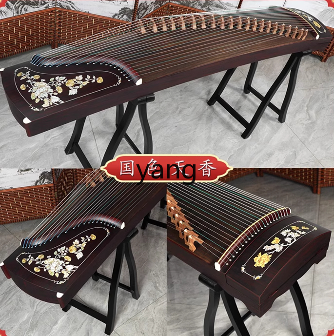 LT beginner test entry level 1 - Musical Instrument Guzheng recension och pris