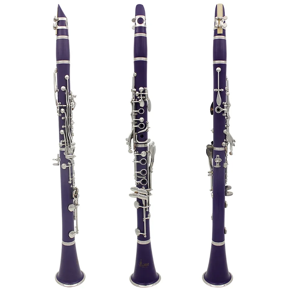 SLADE B-Flat Clarinet 17 Keys  - Musical Instrument Reed recension och pris
