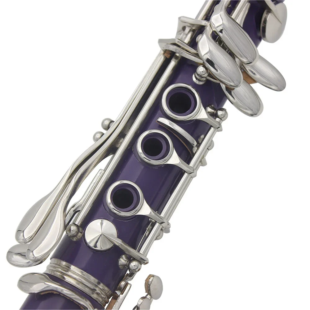 SLADE B-Flat Clarinet 17 Keys  - Musical Instrument Reed recension och pris